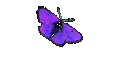 awards