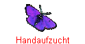 Handaufzucht