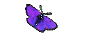 kindergarten