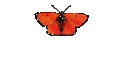 Kontakt/Disclaimer