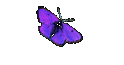 Links