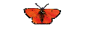 Links