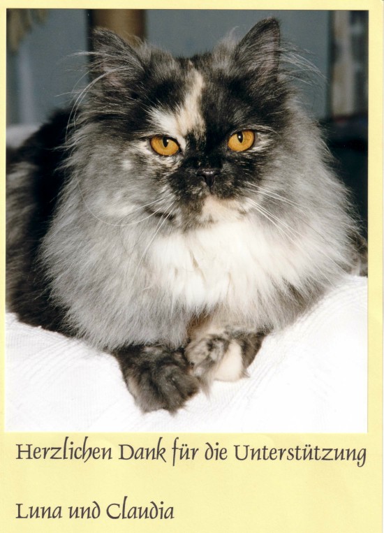 Luna im Juli 2003