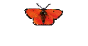 Neue Fotos