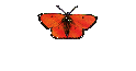 high_society_kitten